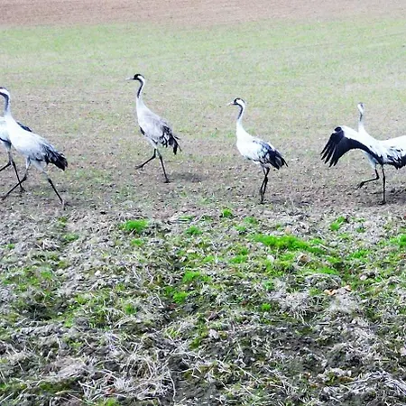 Marina Summer - Przy Jeziorze, Netflix, Tv55