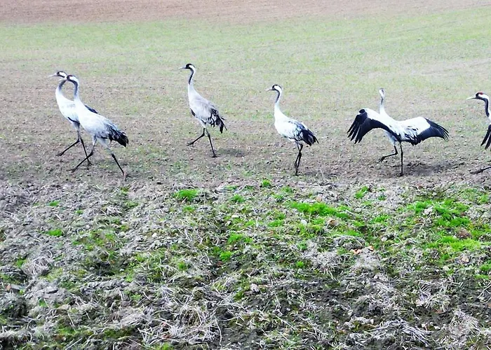 Marina Summer - Przy Jeziorze, Netflix, Tv55